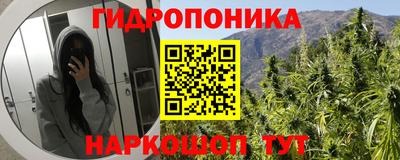 стафф Старая Купавна